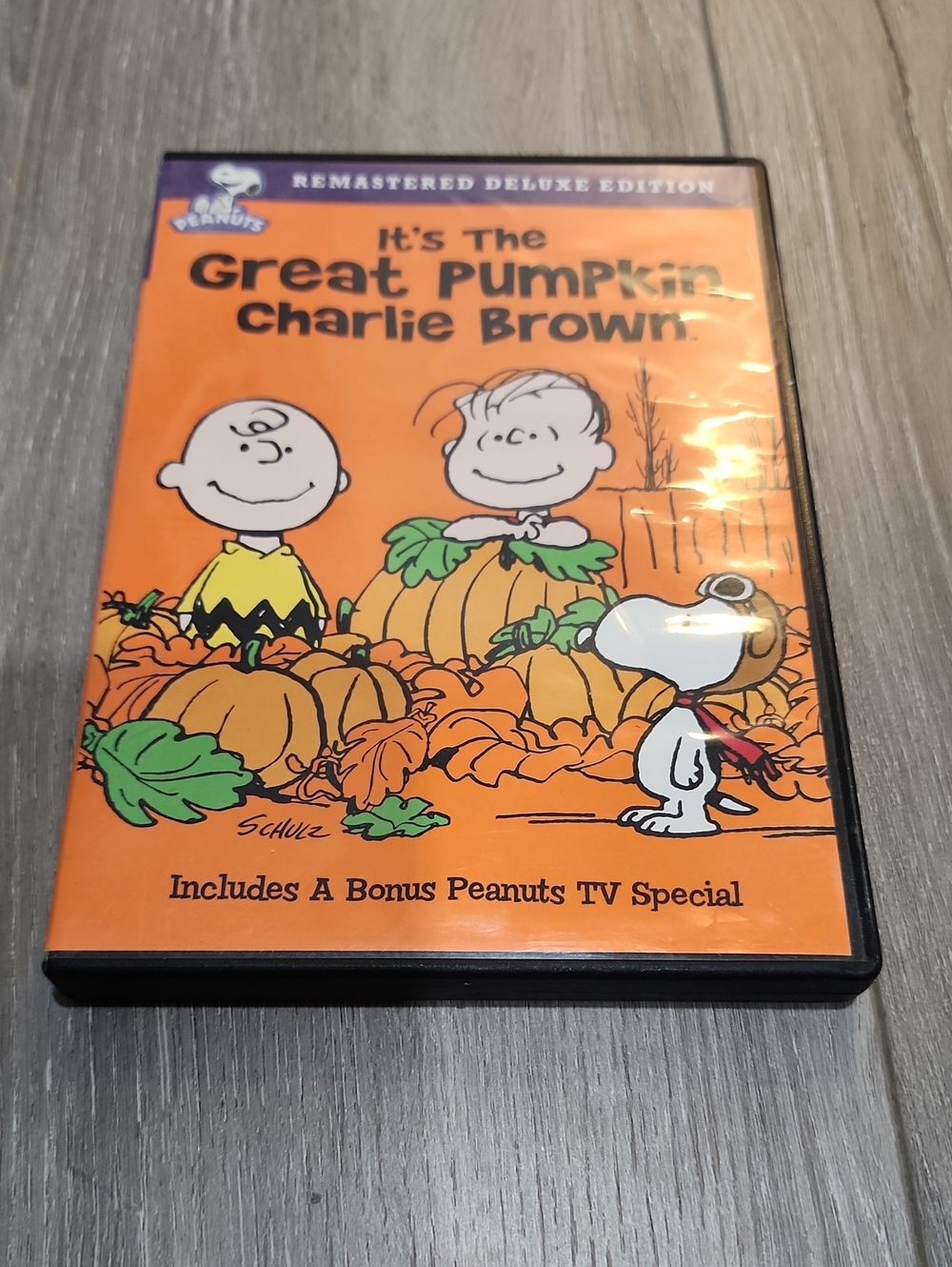 Peanuts Orange Pumpkin Cover Featuring Charlie Brown & Snoopy